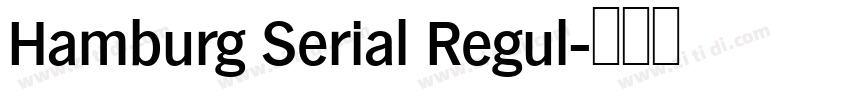 Hamburg Serial Regul字体转换